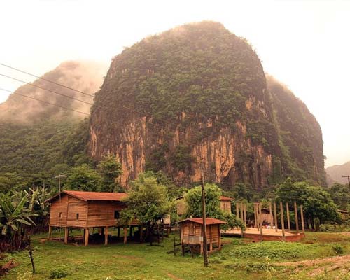Dong Natad Protected Area forest